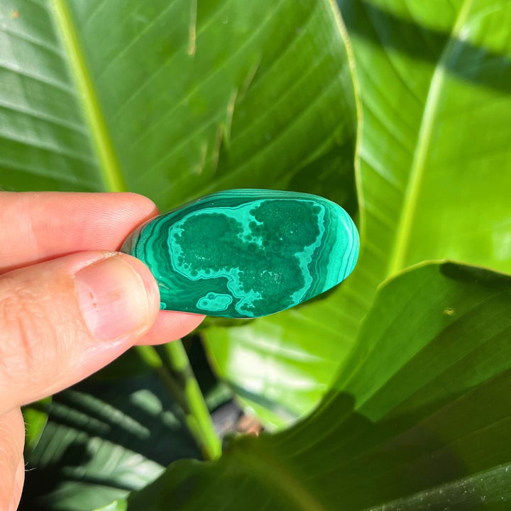 Malachite Tumbled Stone - Shop Online!