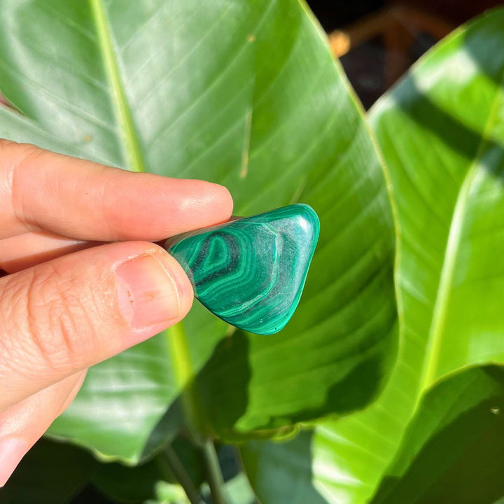 Malachite Tumbled Stone - Shop Online!