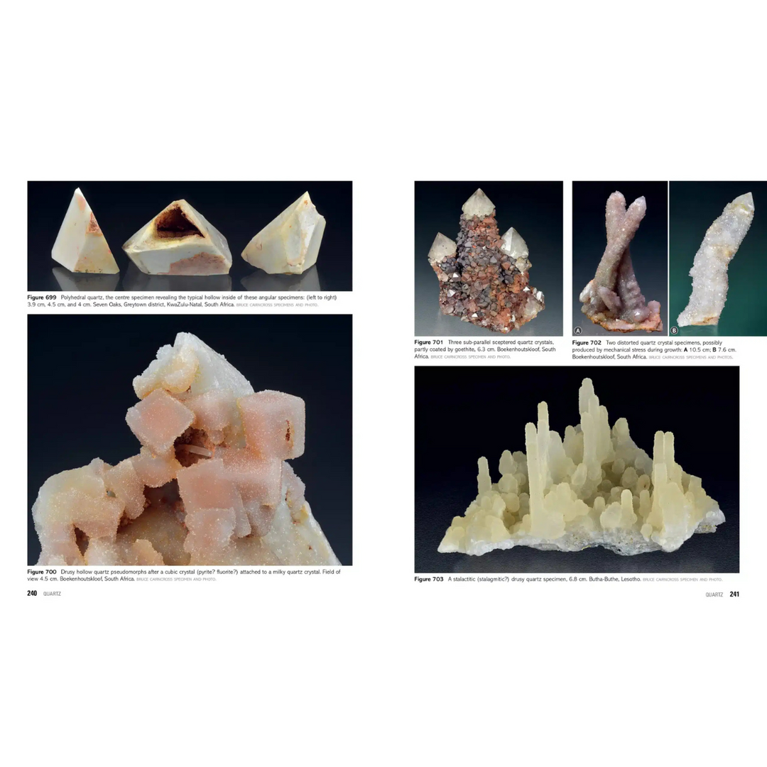 Collection of various mineral specimens on a white background