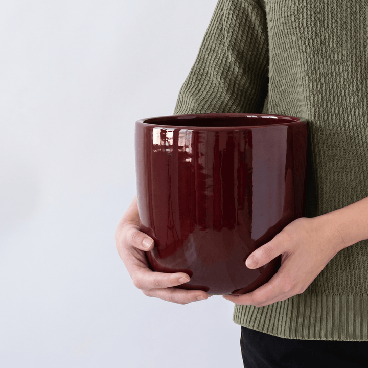 Person holding the stylish Moon Planter - Oxblood Red, showcasing its classic shape and vintage color.