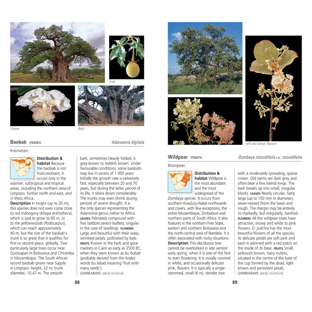 Page from a book or magazine featuring images and text about Adansonia digitata, commonly known as the baobab tree.