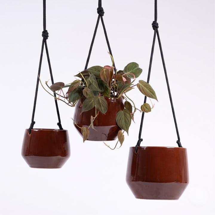 Pogo Hanging Oxblood red 3 sizes to show range with Micans