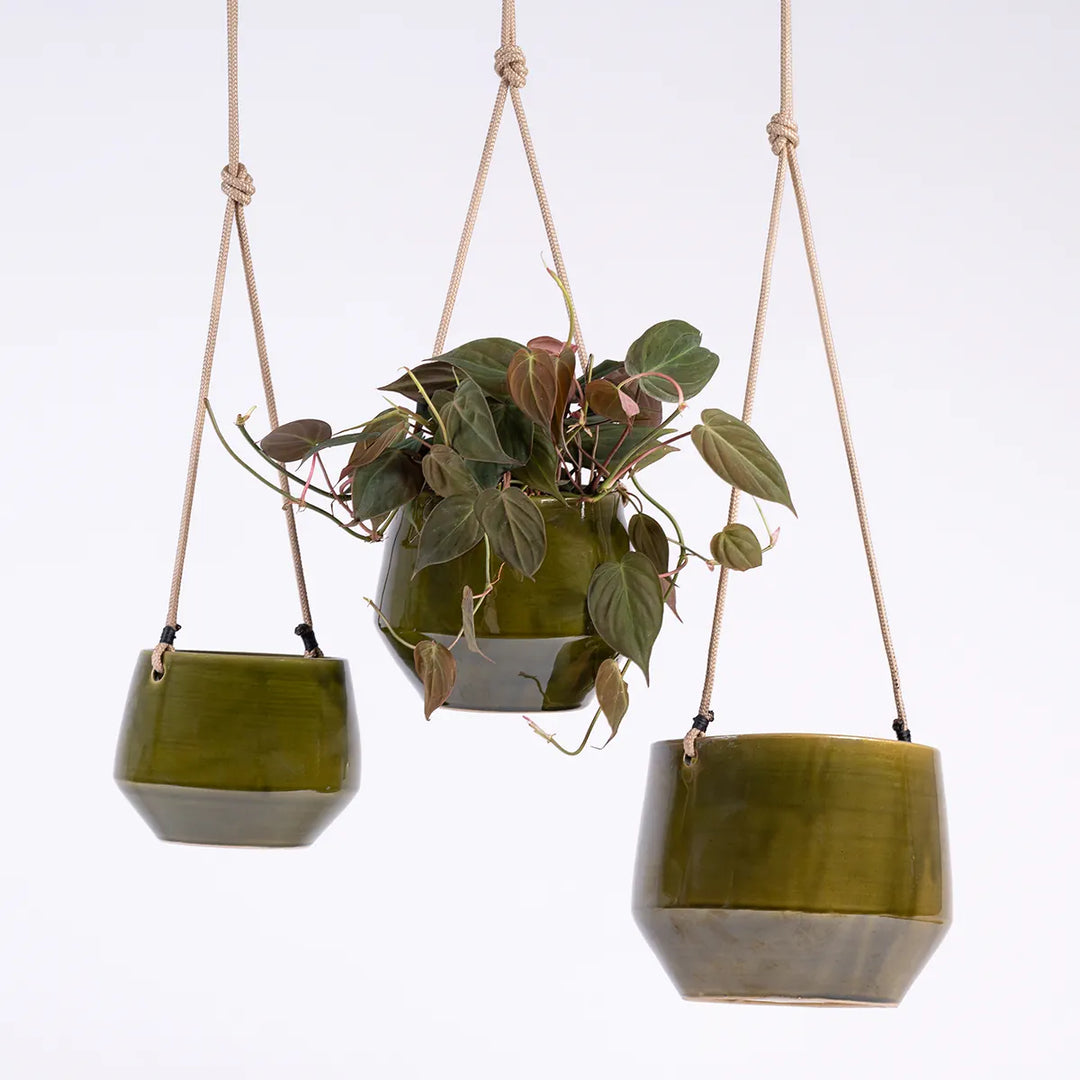 Pogo Hanging Planter - Vintage Green