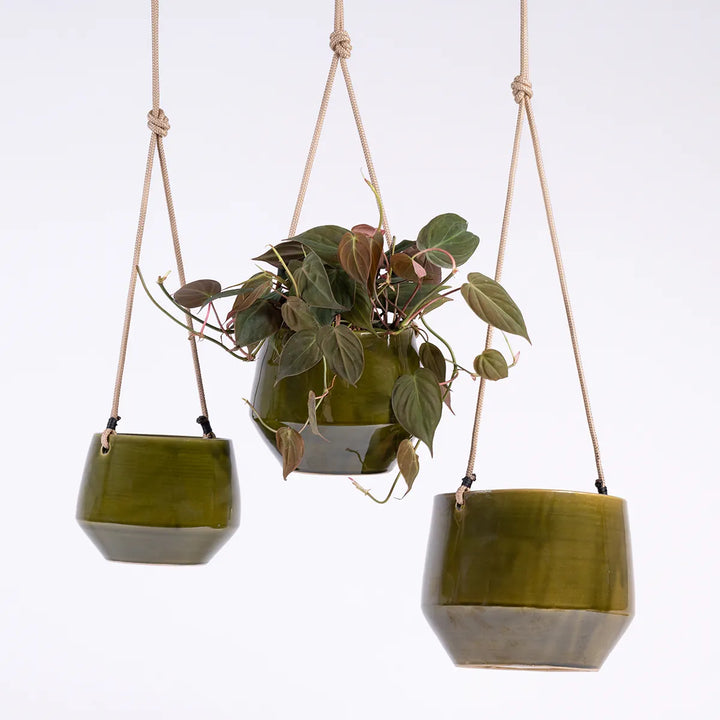 Pogo Hanging Planter - Vintage Green