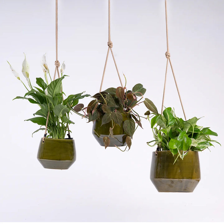 Pogo Hanging Planter - Vintage Green