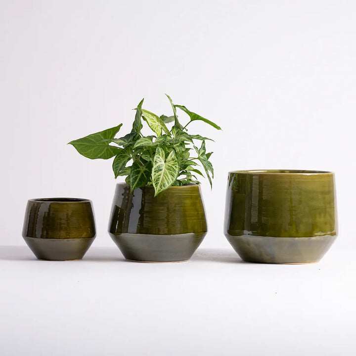 Pogo Planter - Vintage Green