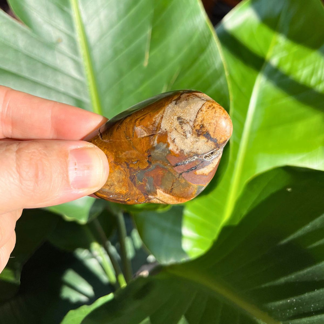 Polychrome Jasper Tumbled Stone - Shop Online!