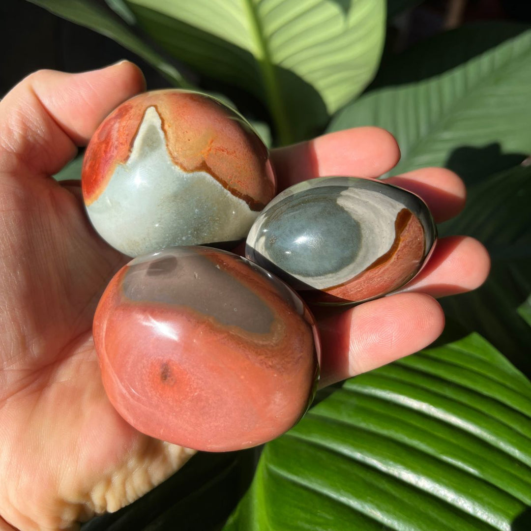 Polychrome Picasso Jasper Gallets - Polished Palm Stones - Shop Online!