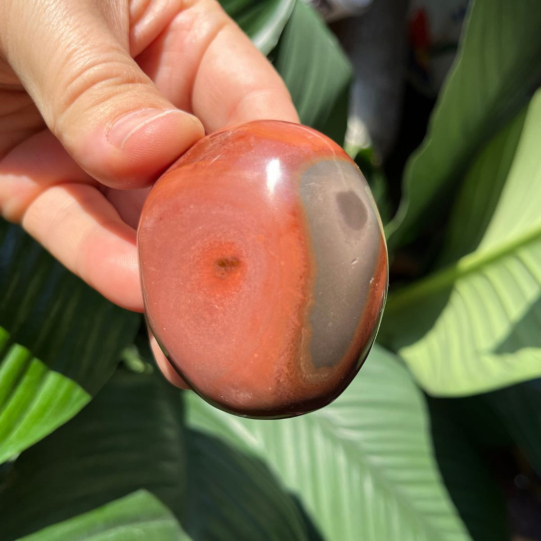 Polychrome Picasso Jasper Gallets - Polished Palm Stones - Shop Online!