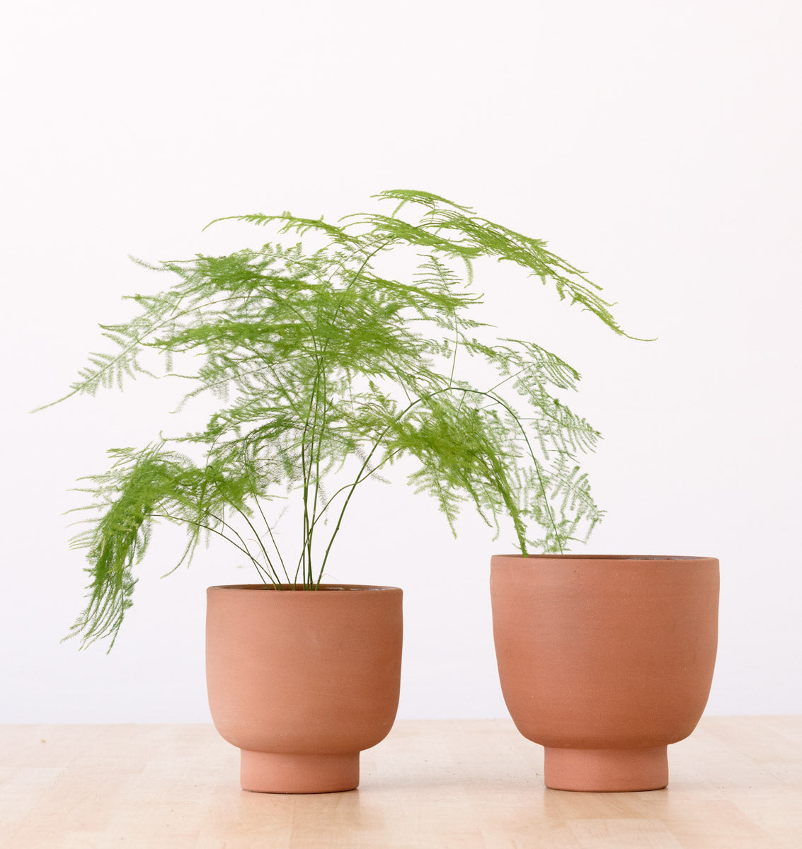 Shing Plinth Planter - Terracotta | Indoor Plant Pot