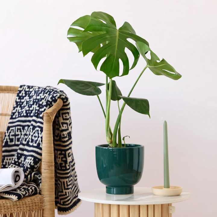 Shing Plinth Planter - Jade