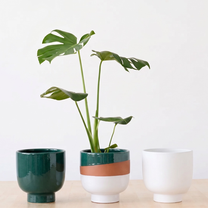 Shing Plinth Planter - Jade