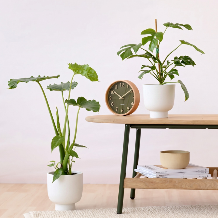 Shing Plinth Planter - White