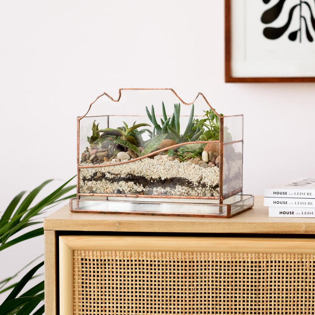 succulent terrarium table Terrarium