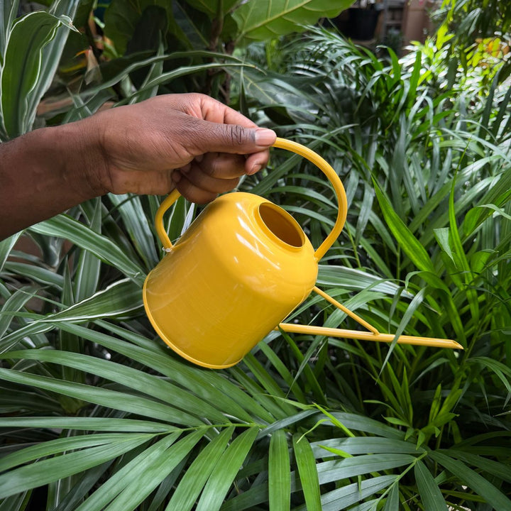 Watering Can - Metal Retro