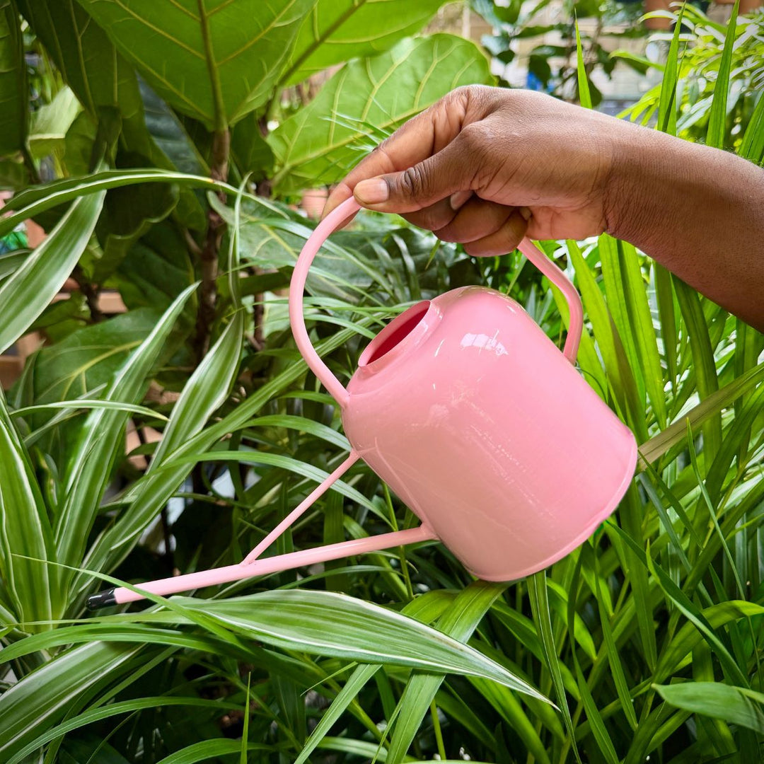 Watering Can - Metal Retro