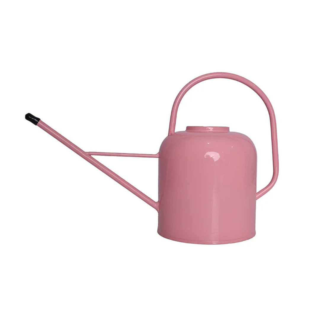 Pink watering can on a white background
