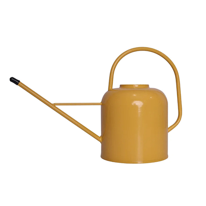 Yellow watering can on a white background