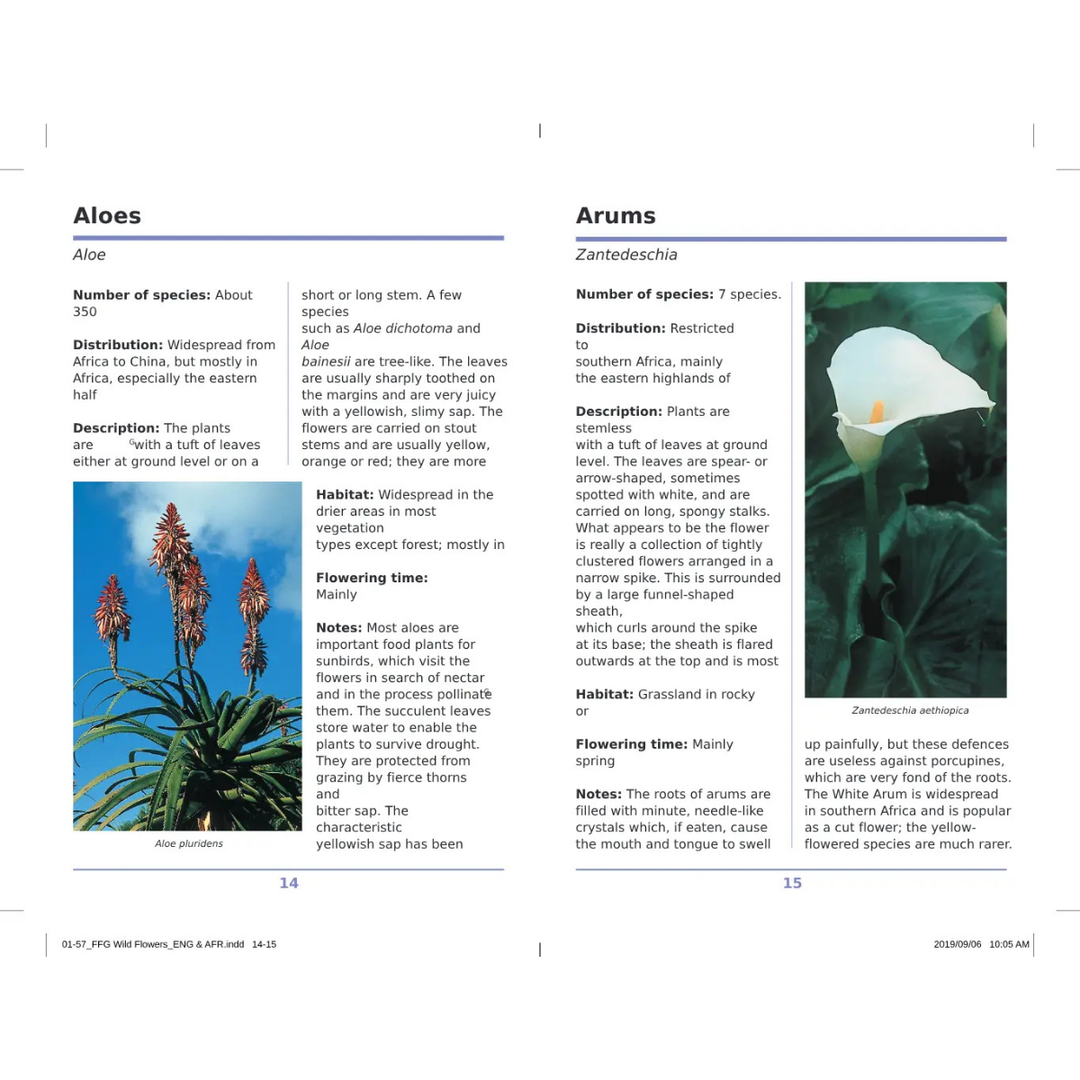 Two pages from a book or magazine about Aloes and Arums with text and images.