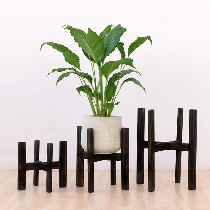 Wooden Plant Stand - Charcoal - Shop Online!