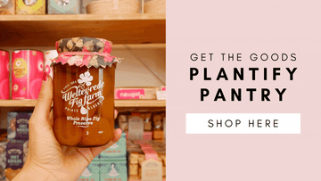 Money Tree Care Instructions – Plantify - Urban Nursery