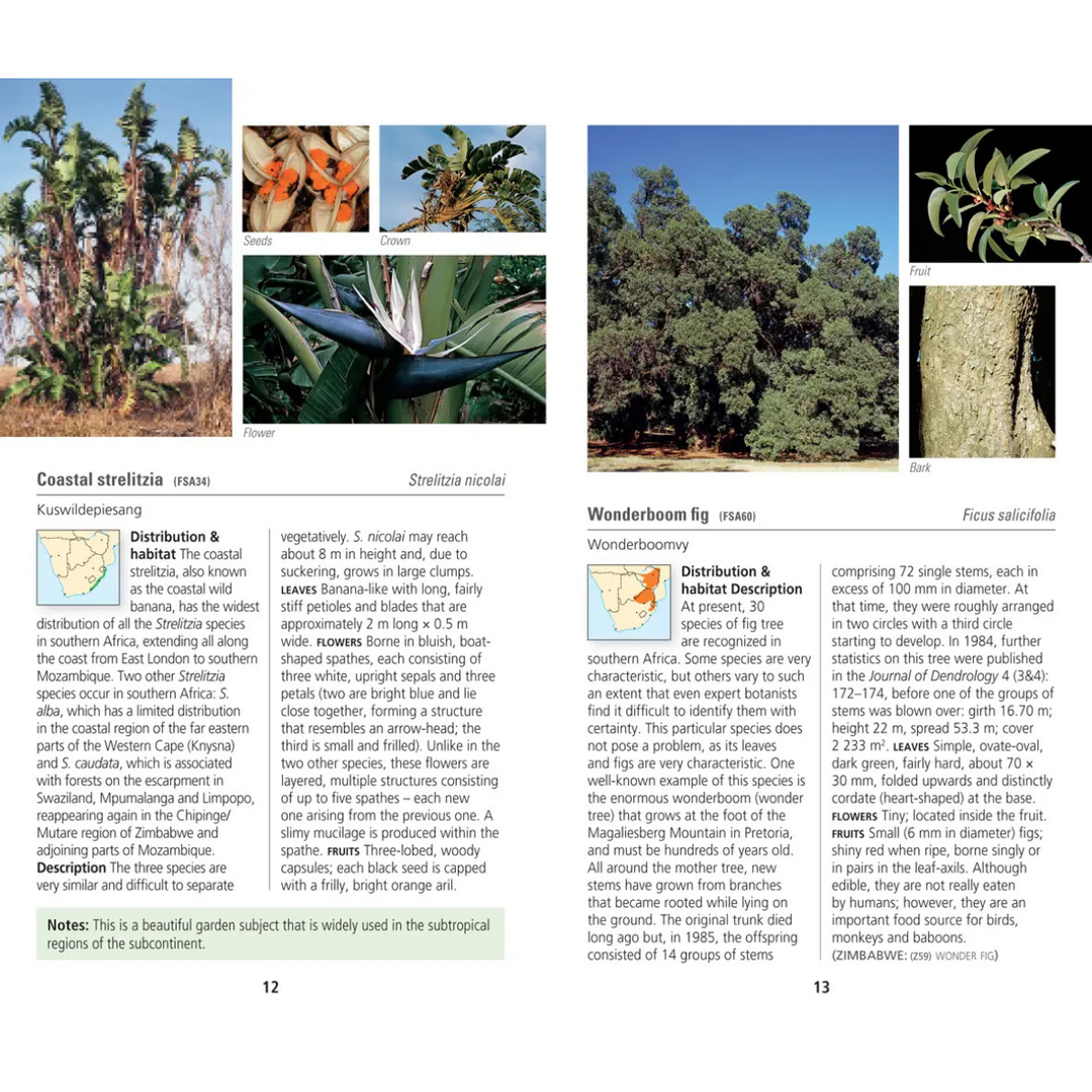 Book page with images and text about coastal strelitzia and wonderboom plants.