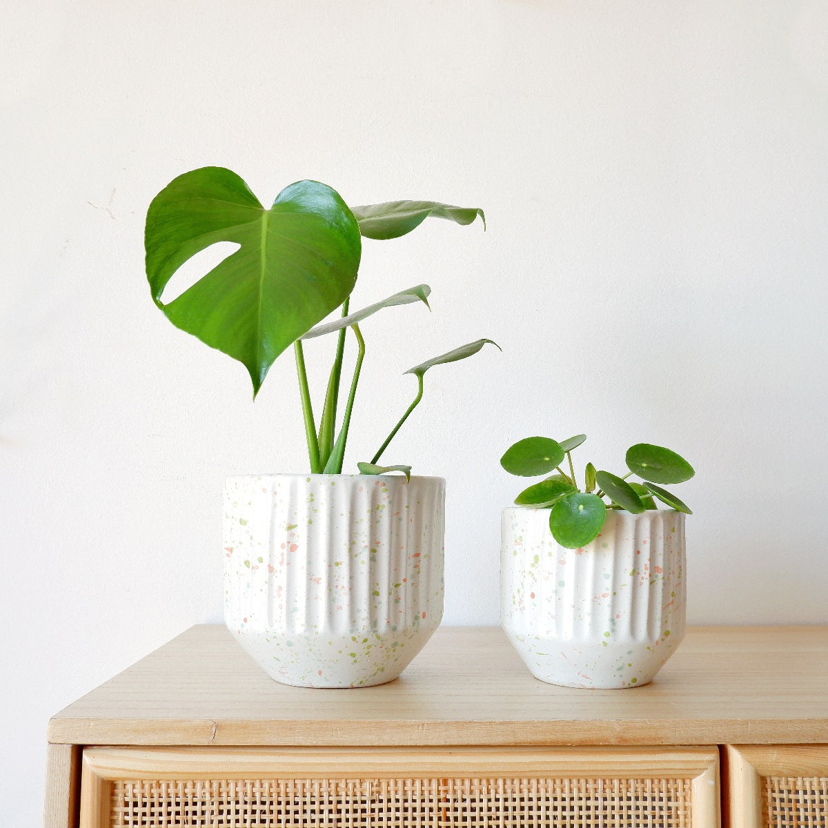 Rafa Terrazzo - Vanilla - the Cutest Planter Ever! – Plantify - Urban ...
