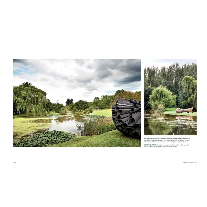 Black sculpture by a pond with trees and clouds in the background. south african indigenous