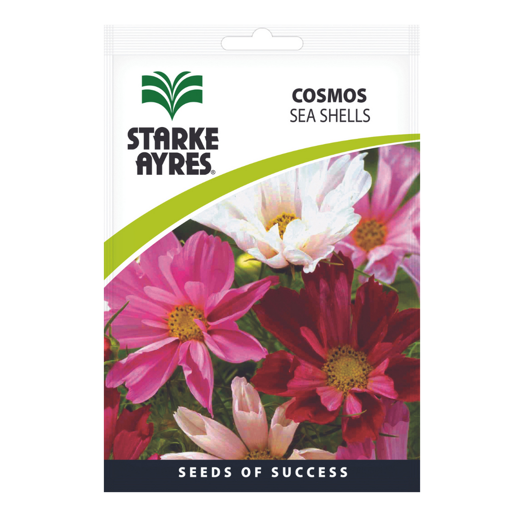 Seeds - Cosmos Sea Shells - Shop Online!