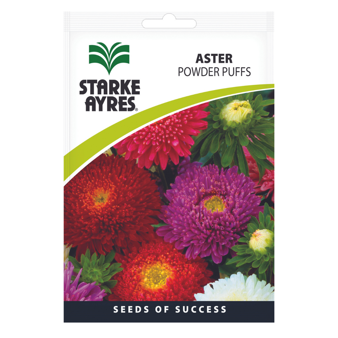 Seeds - Aster Powder Puffs - Shop Online!