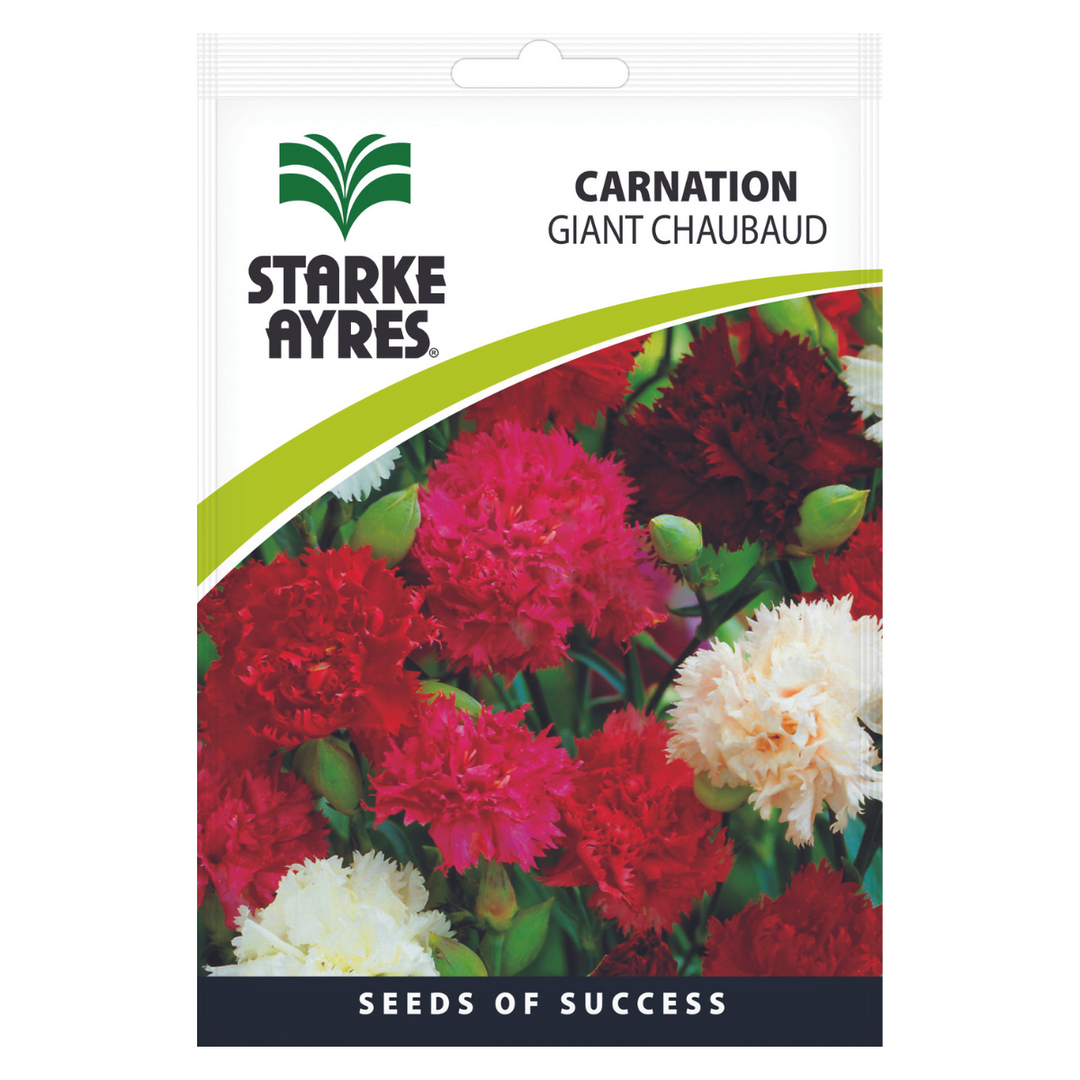 Seeds - Carnation Giant Chaubaud - Shop Online!