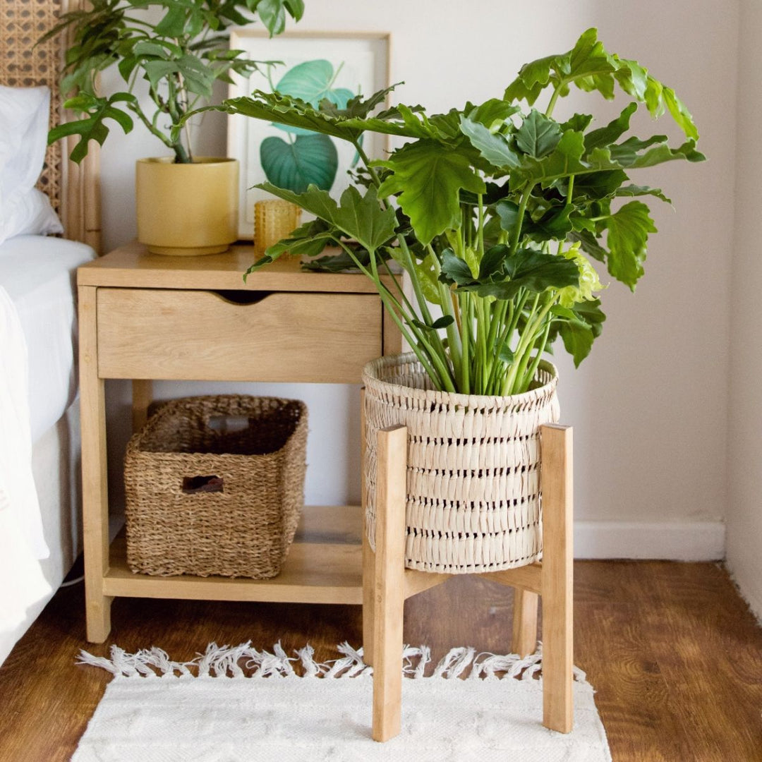 pot plant stand south africa Wooden Plant Stand