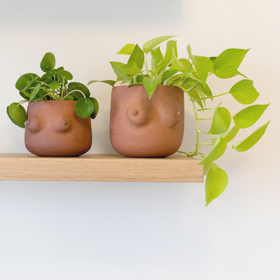 plant pot with boobs Boob Planter - Terracotta