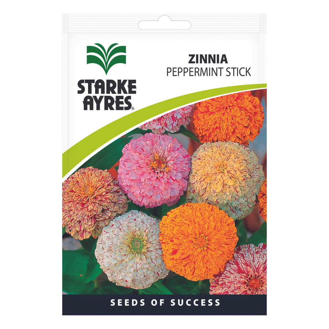 Seeds - Zinnia Peppermint Stick - Shop Online!