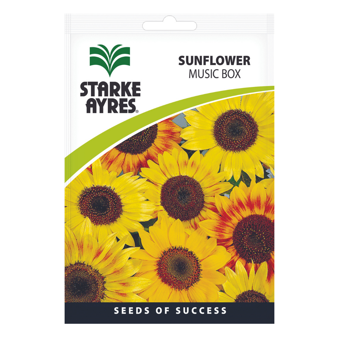 Seeds - Sunflower Music Box - Shop Online!
