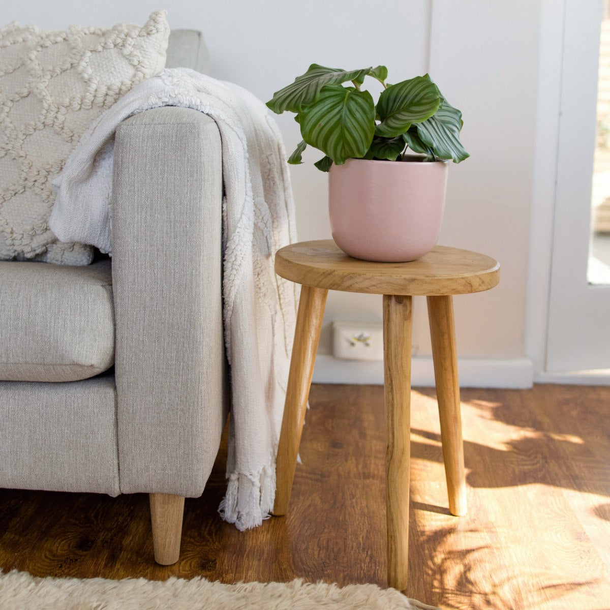 Moon Planter - Millennial Pink – Plantify - Urban Nursery