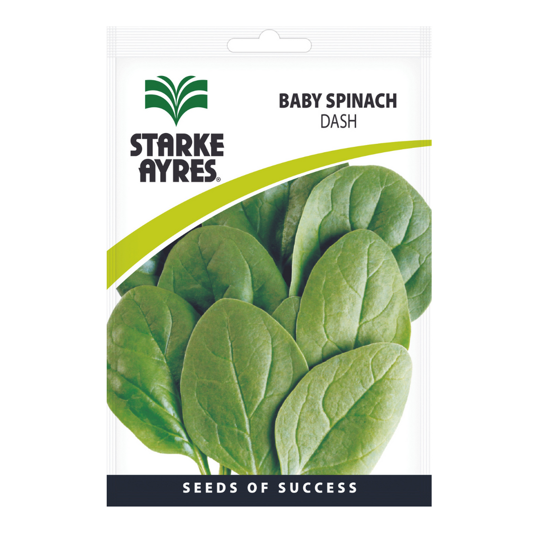 Seeds - Baby Spinach - Shop Online!