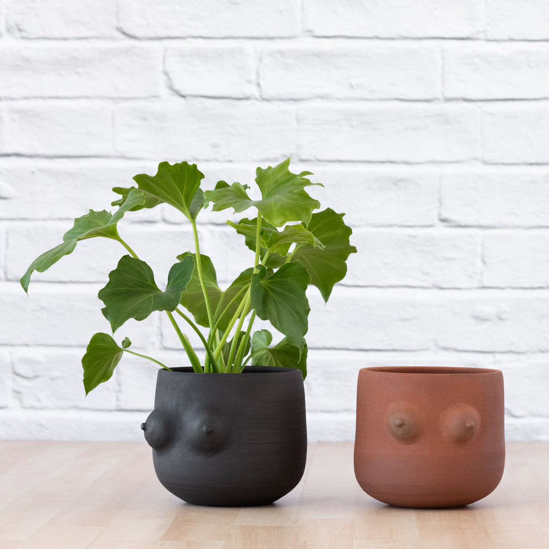 boob plant pots Boob Planter - Terracotta