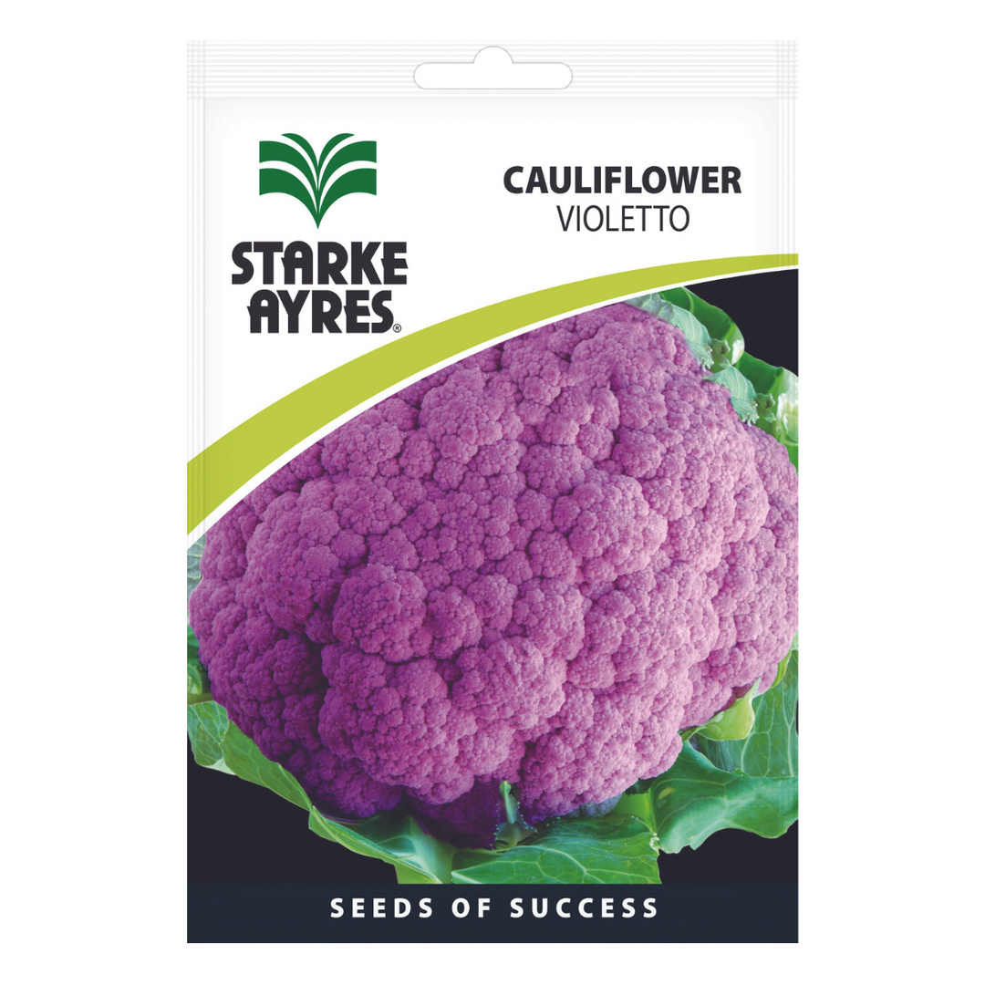 Seeds - Cauliflower Violetto - Shop Online!