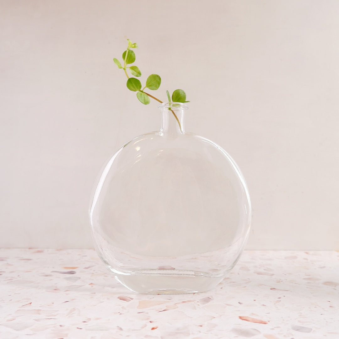 Glass Vase - Large Circle - Shop Online!
