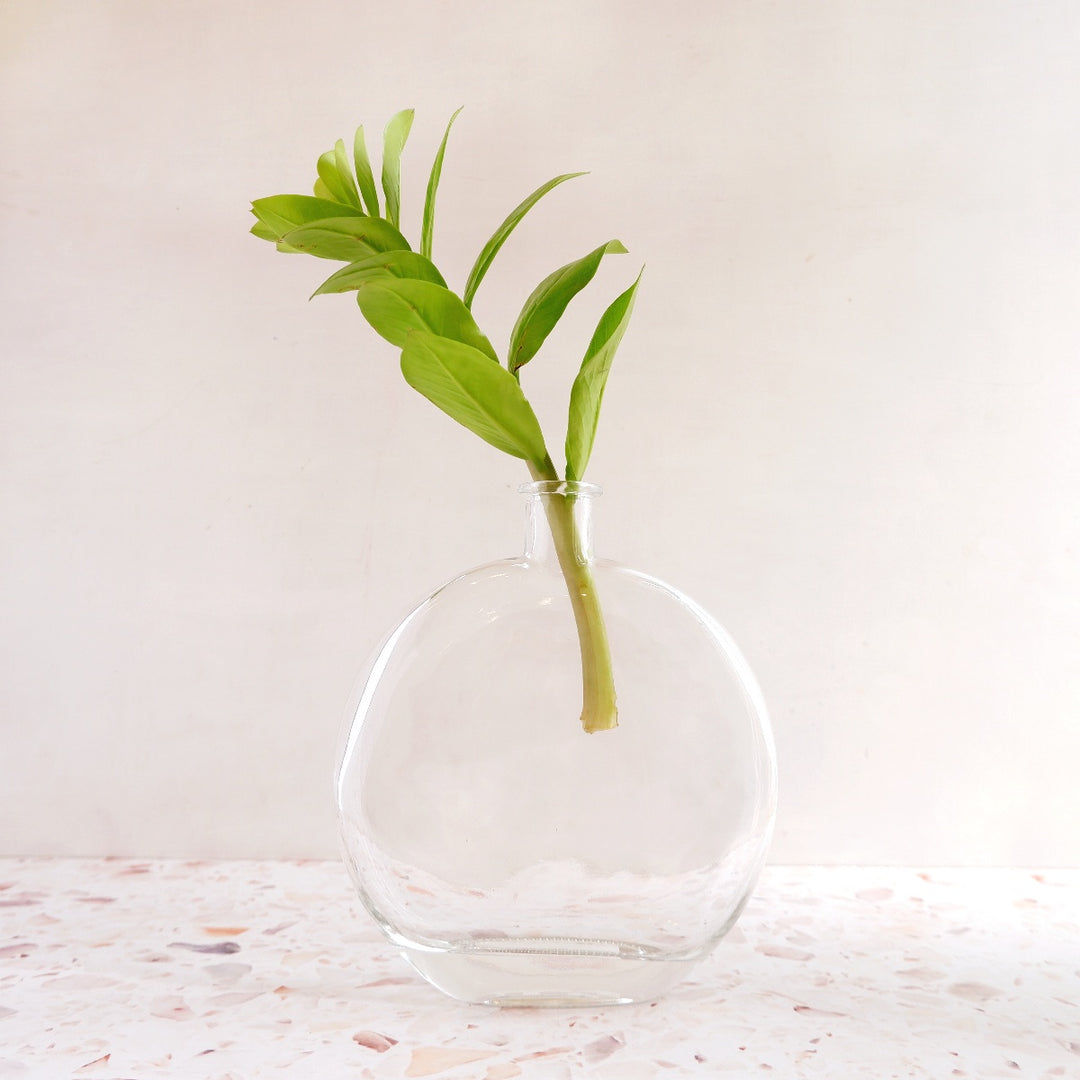 Glass Vase - Large Circle - Shop Online!