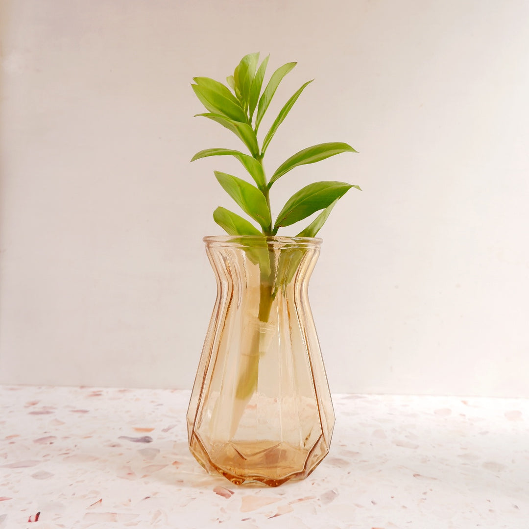 Glass Vase - Amber Period - Shop Online!