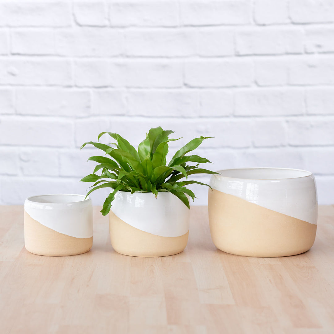 Daxi Planter - Cream - Shop Online!