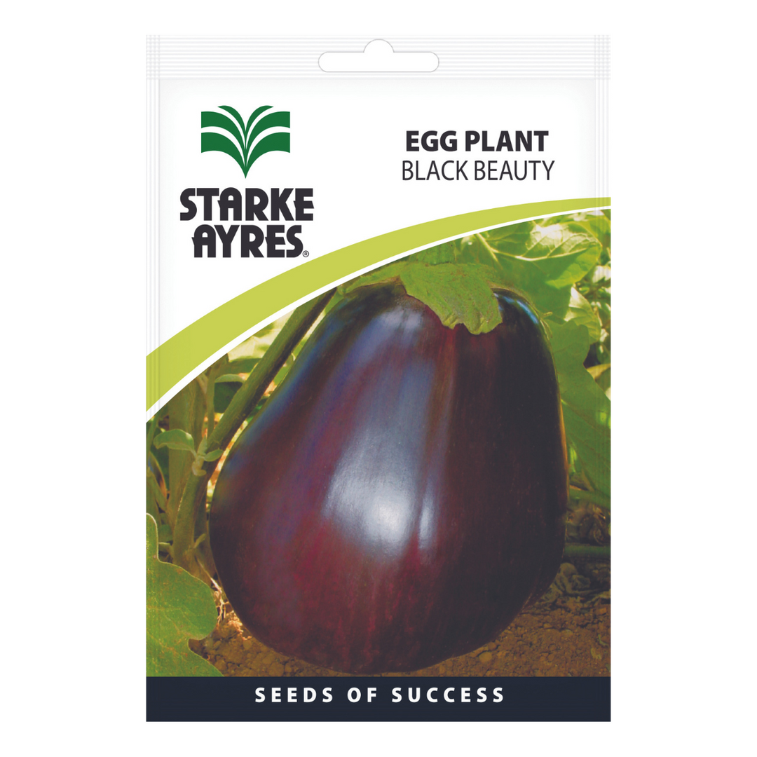 Seeds - Egg Plant - Shop Online!