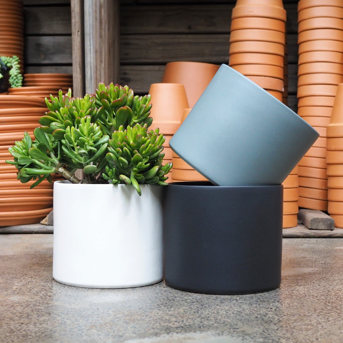 Emerson Pot - Matt Large | Indoor Plant Pot