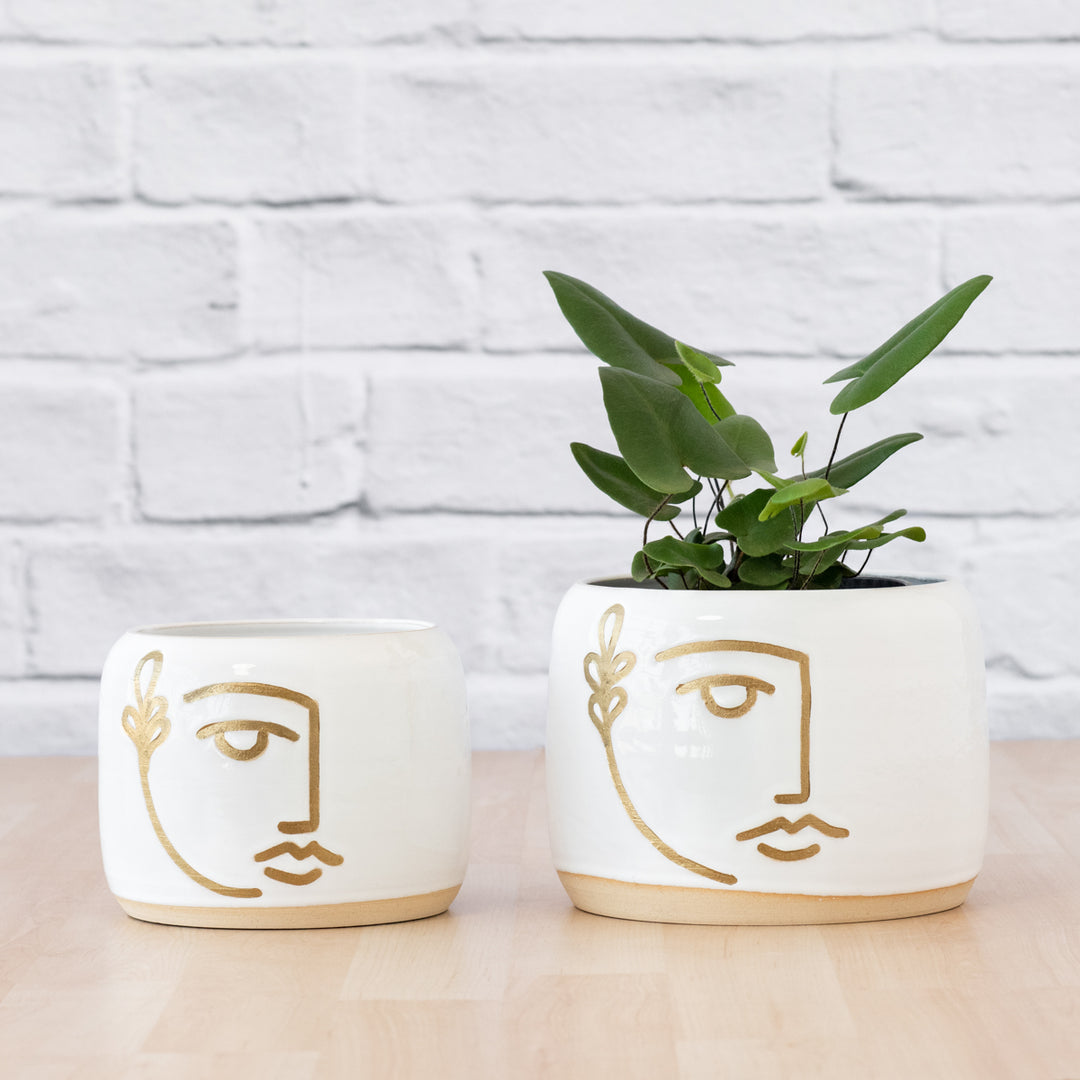 Faxi Planter - Face Pot - Shop Online!