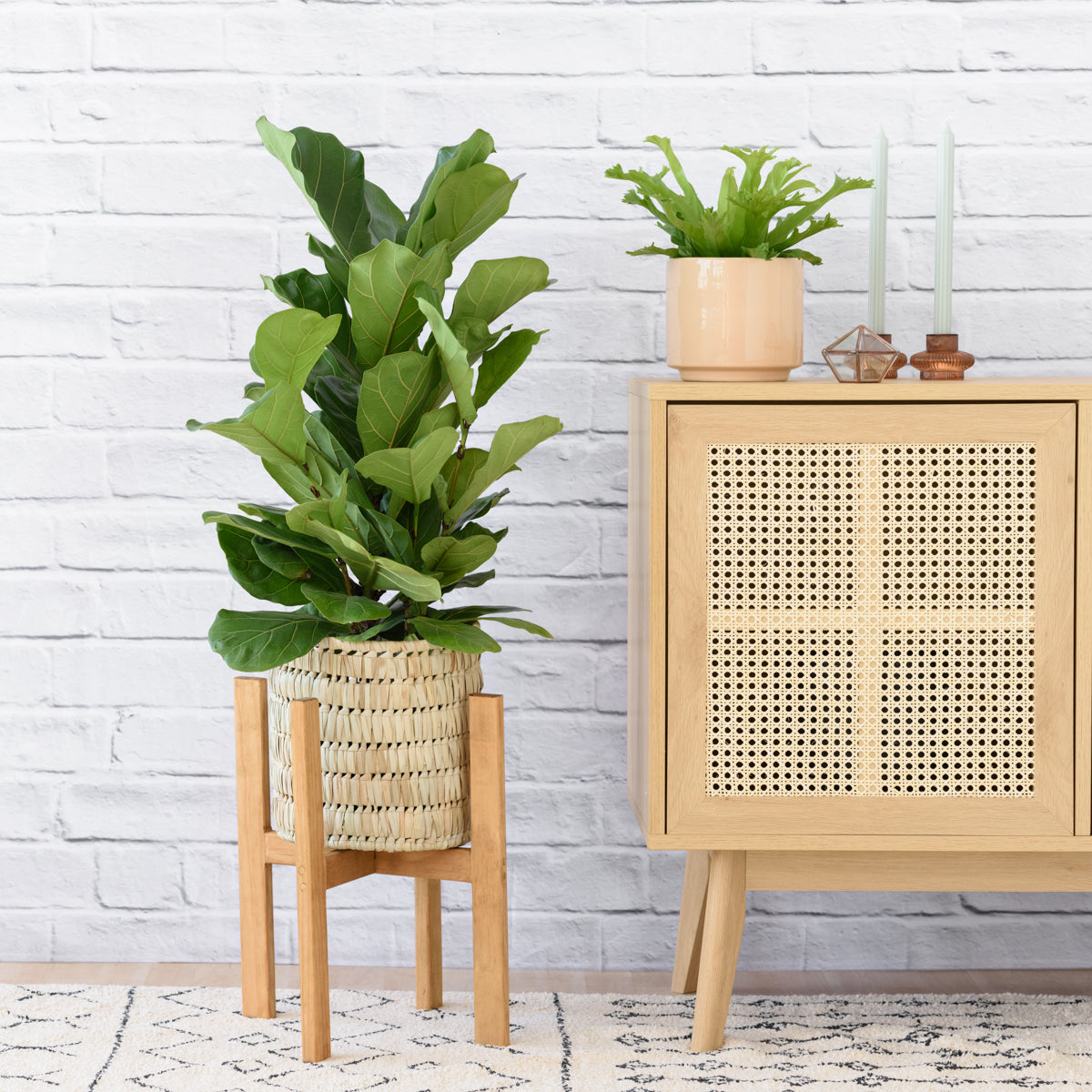 Wooden 2025 plant stand