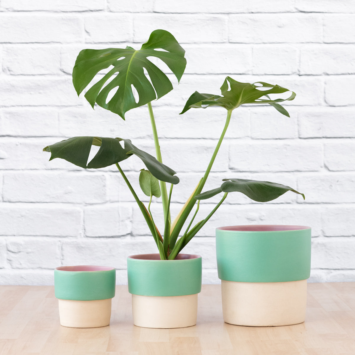 Beach Planter - Ballito | Indoor Plant Pot