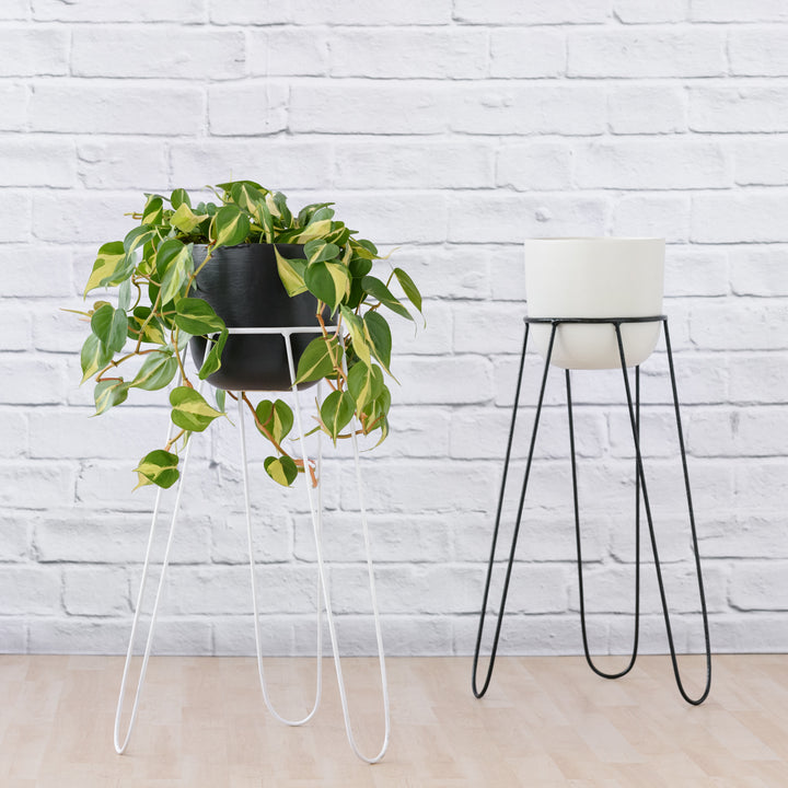Hairpin Plant Stand - White - Shop Online!
