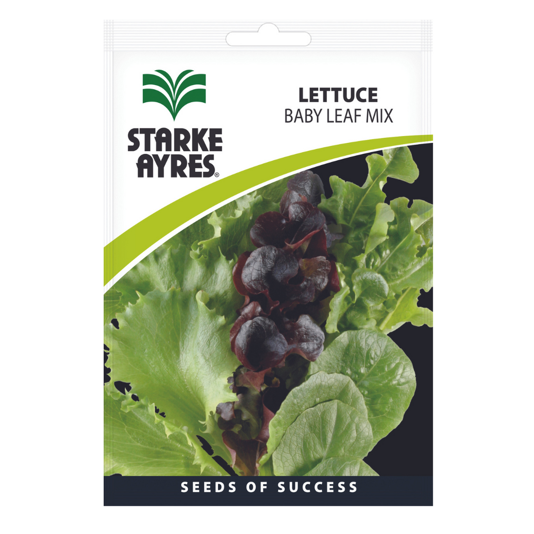 Seeds - Lettuce Baby Leaf Mix - Shop Online!